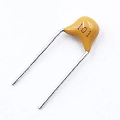 100pF Monolithic Capacitor